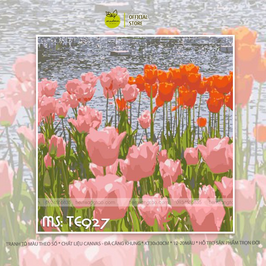 Tranh tô màu số hóa Madoca có khung 30x30cm  hoa tulip hồng và cam TE927
