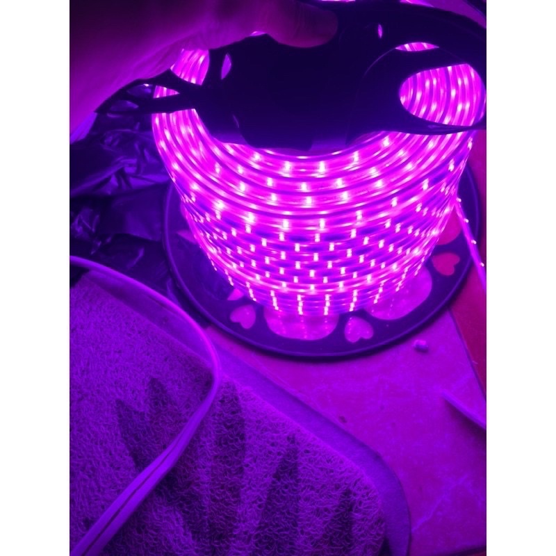Sale_Dây đèn led hắt trần 2835 2 hàng bóng(vàng, trắng, xanh dương, tím)