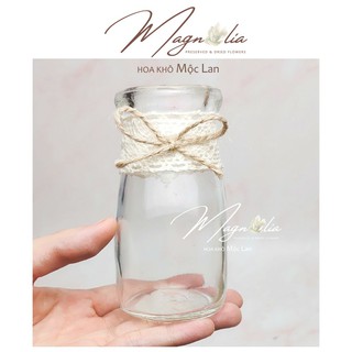 [G01] Lọ thuỷ tinh mini ❤️FREESHIP❤️ Lọ cắm hoa thuỷ tinh trang trí đám cưới vintage, retro S029