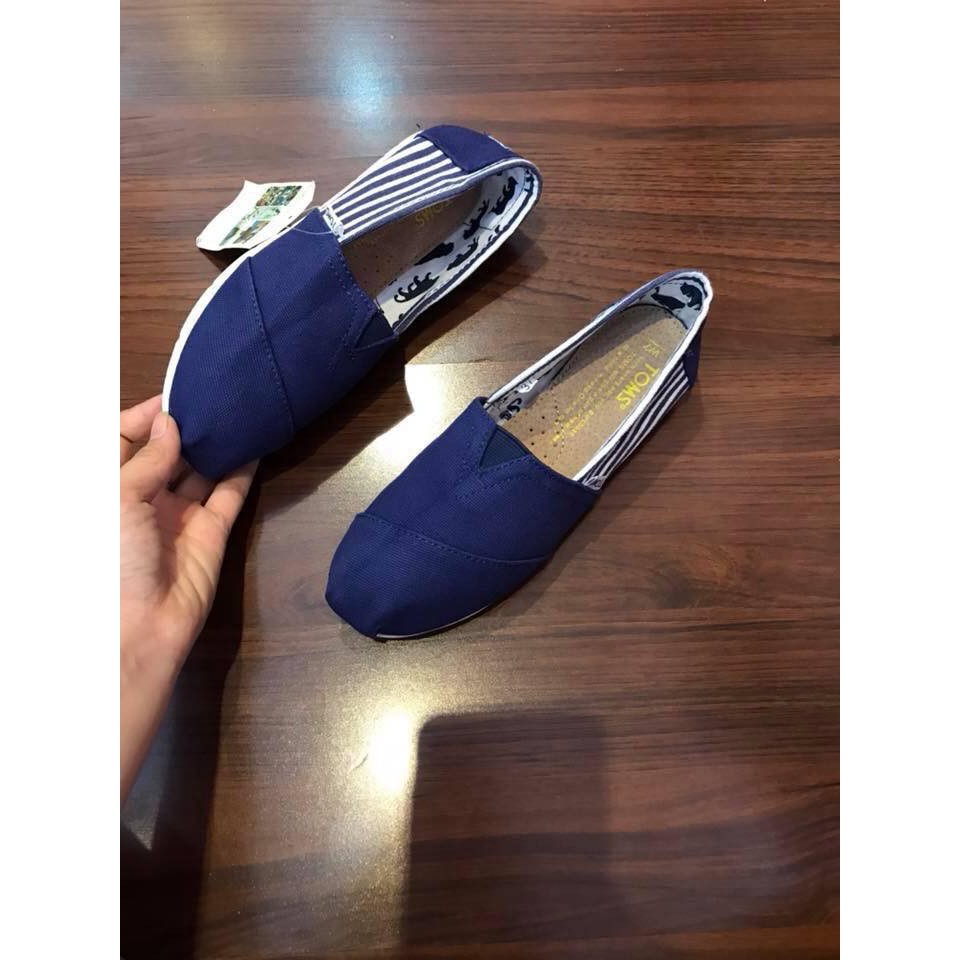Giày Toms sọc xanh