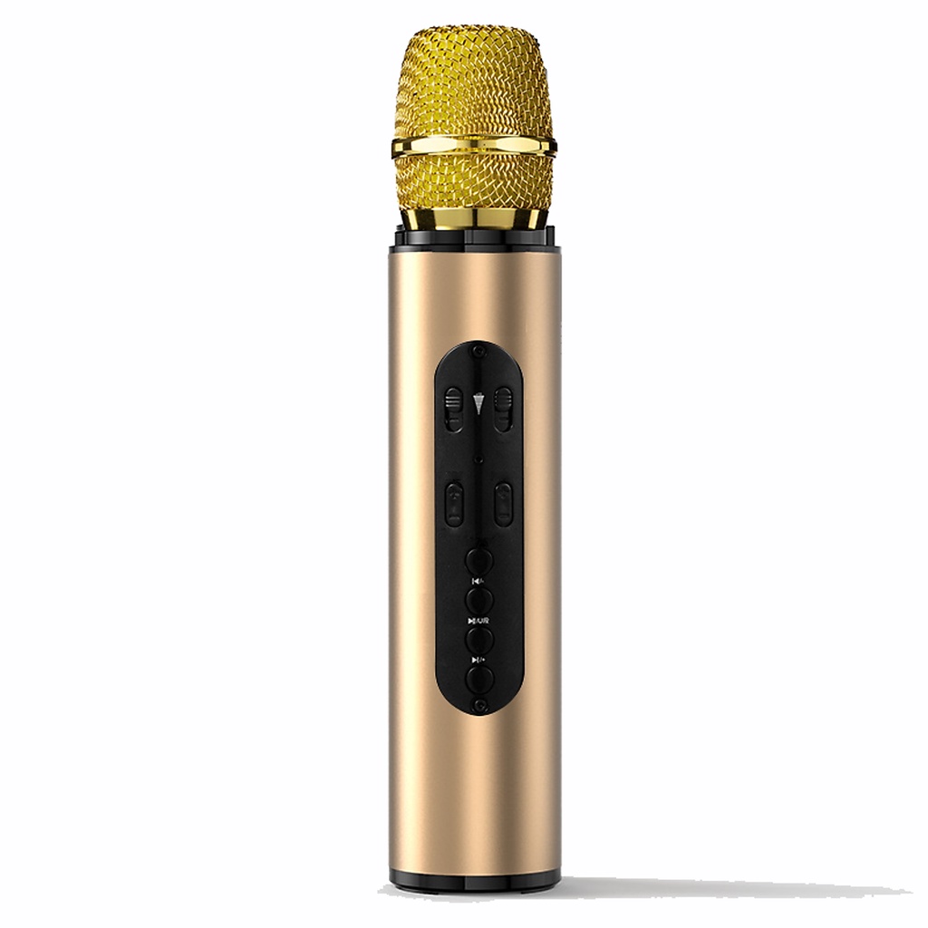 Micro Bluetooth Karaoke Không Dây PKCB390 hàng cao cấp Kết Nối Thẻ Nhớ, tai nghe 3.5 mm - Hàng chính hãng