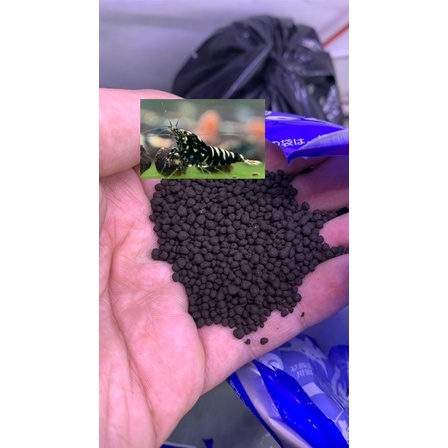 phân nền control soil nuôi tép