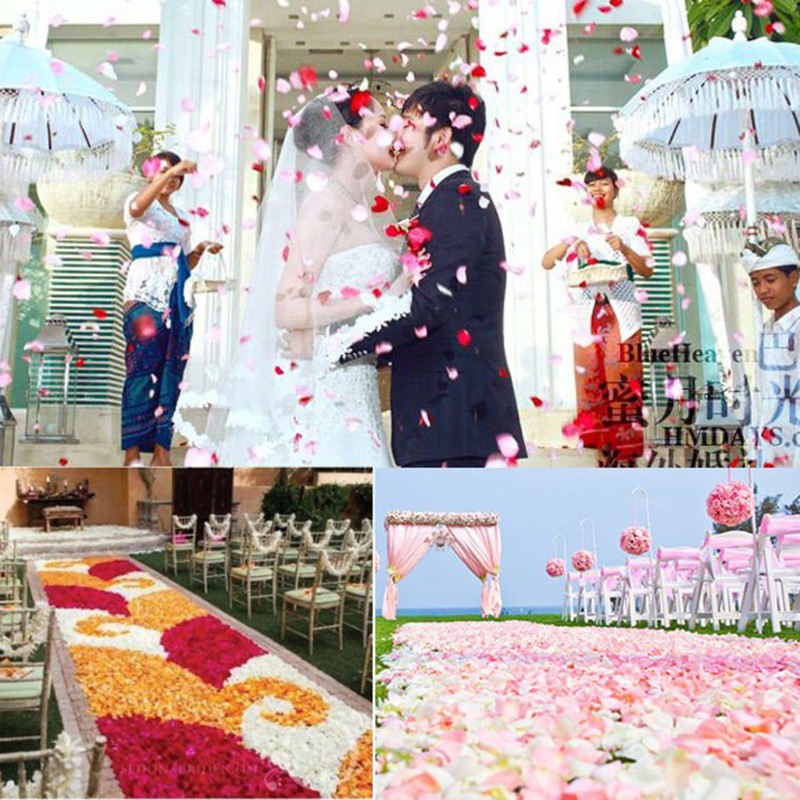 Bộ 2000 cánh hoa hồng nhân tạo bằng lụa dùng cho trang trí