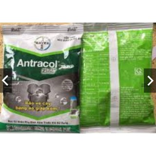 Trị nấm bệnh cho cây trồng Antracol 70wp - gói 100g