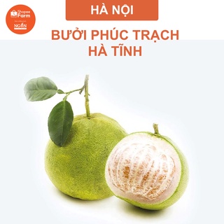 [HN] Combo 2 Quả Bưởi Phúc Trạch Hà Tĩnh Loại 1 - ShopeeFarm