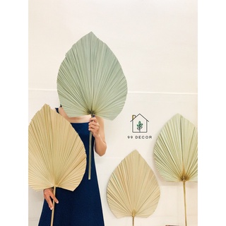 Lá cọ khô tự nhiên decor phòng, trang trí nhà cửa - 99decor