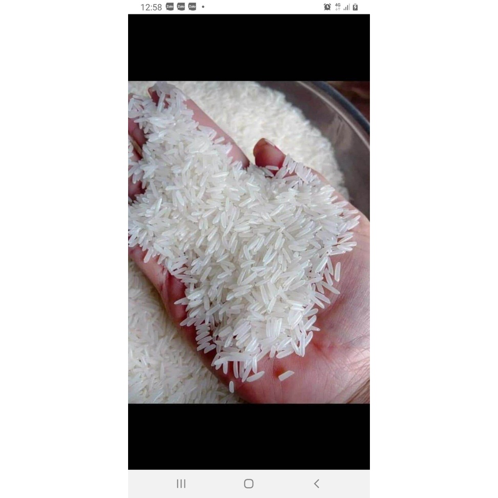 Gạo đặc sản sóc trăng st25 lúa tôm túi 5kg - thơm ngọt hảo hạng - ảnh sản phẩm 4