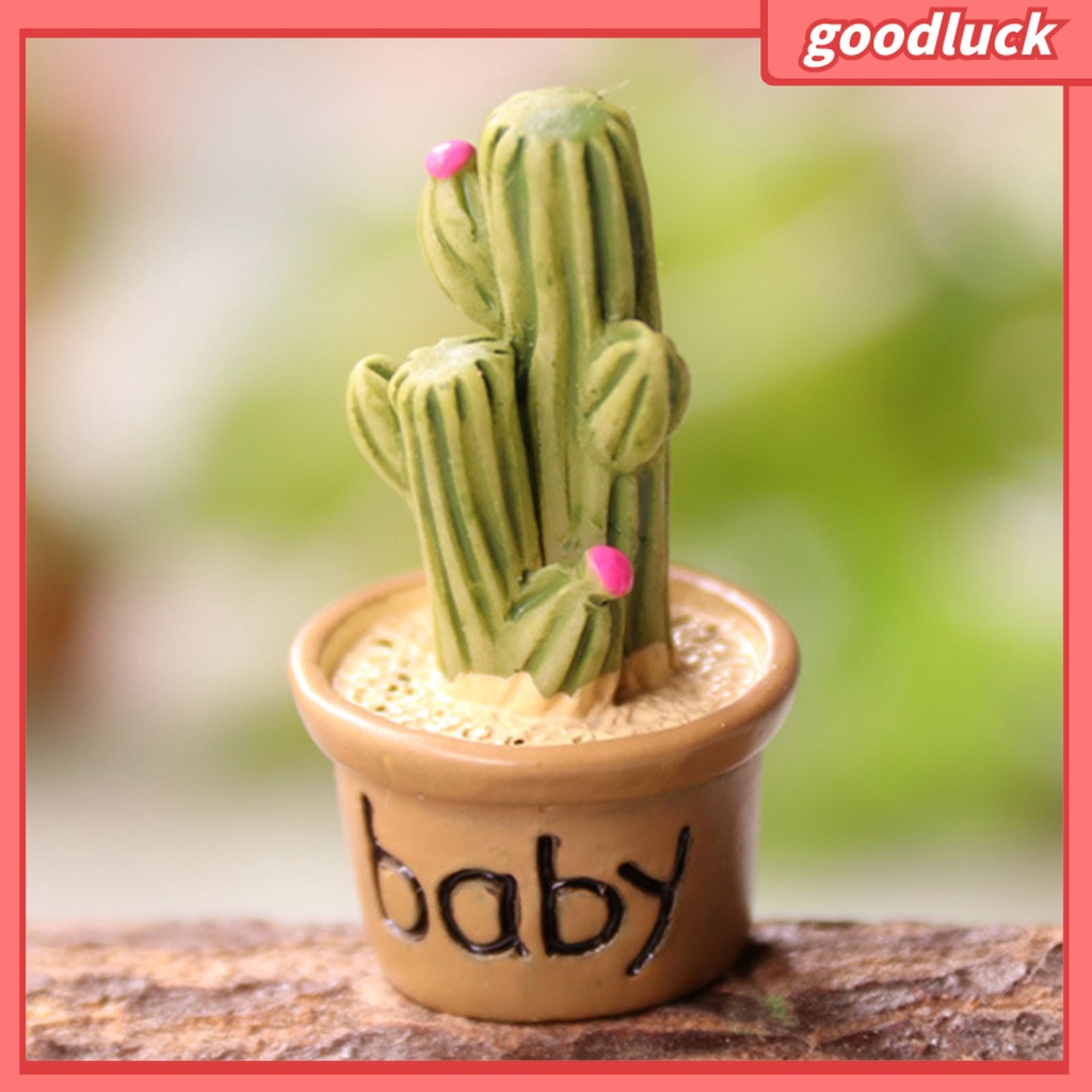 Mô hình cây mọng nước mini trang trí sân vườn DIY