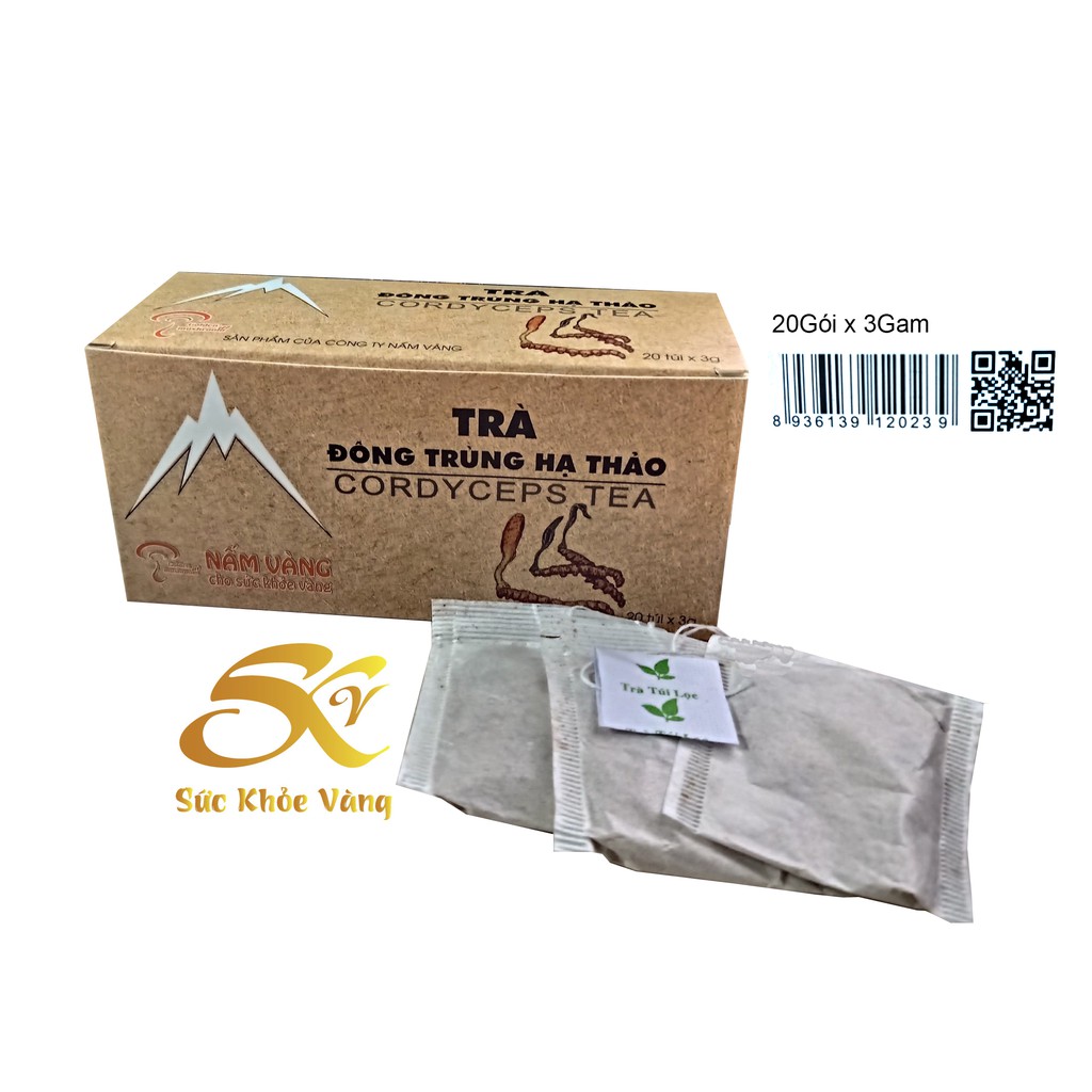 Trà Đông Trùng Hạ Thảo - Cordyseps Tea 20 túi lọc x 3gram