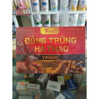 VIÊN UỐNG ĐÔNG TRÙNG HẠ THẢO ( Y PHÚC )
