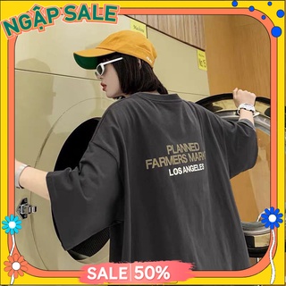 Áo thun nữ nam Basic trending 2022, áo phông nữ nam oversize A53