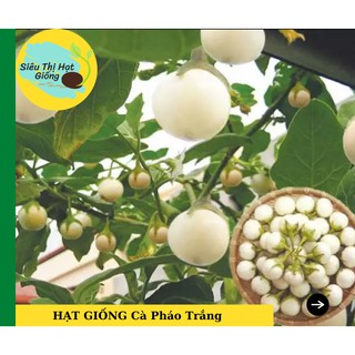 [Seeds] Hạt giống Cà Pháo Trắng