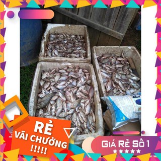 Men vi sinh hlc chuyên ủ cá đậu tương gói 1,5 kg - khử mùi nhanh, phân hủy sau 7-10 ngày