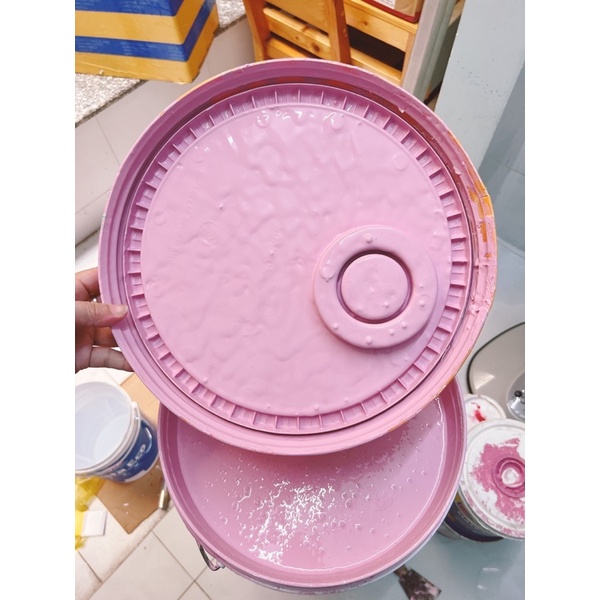 Hồng Tím trong nhà 7kg chính hãng cty 12-15mv
