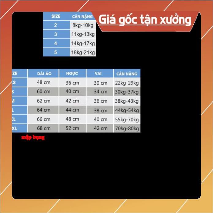 [VIỆT NAM] Áo Thun Văn Hóa - Ẩm Thực Việt Nam - Áo dài nón lá cực chất và đẹp - VIN-0005 giá tận xưởng