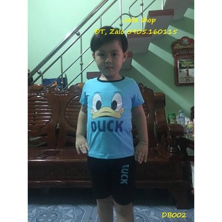 Bộ con vịt
