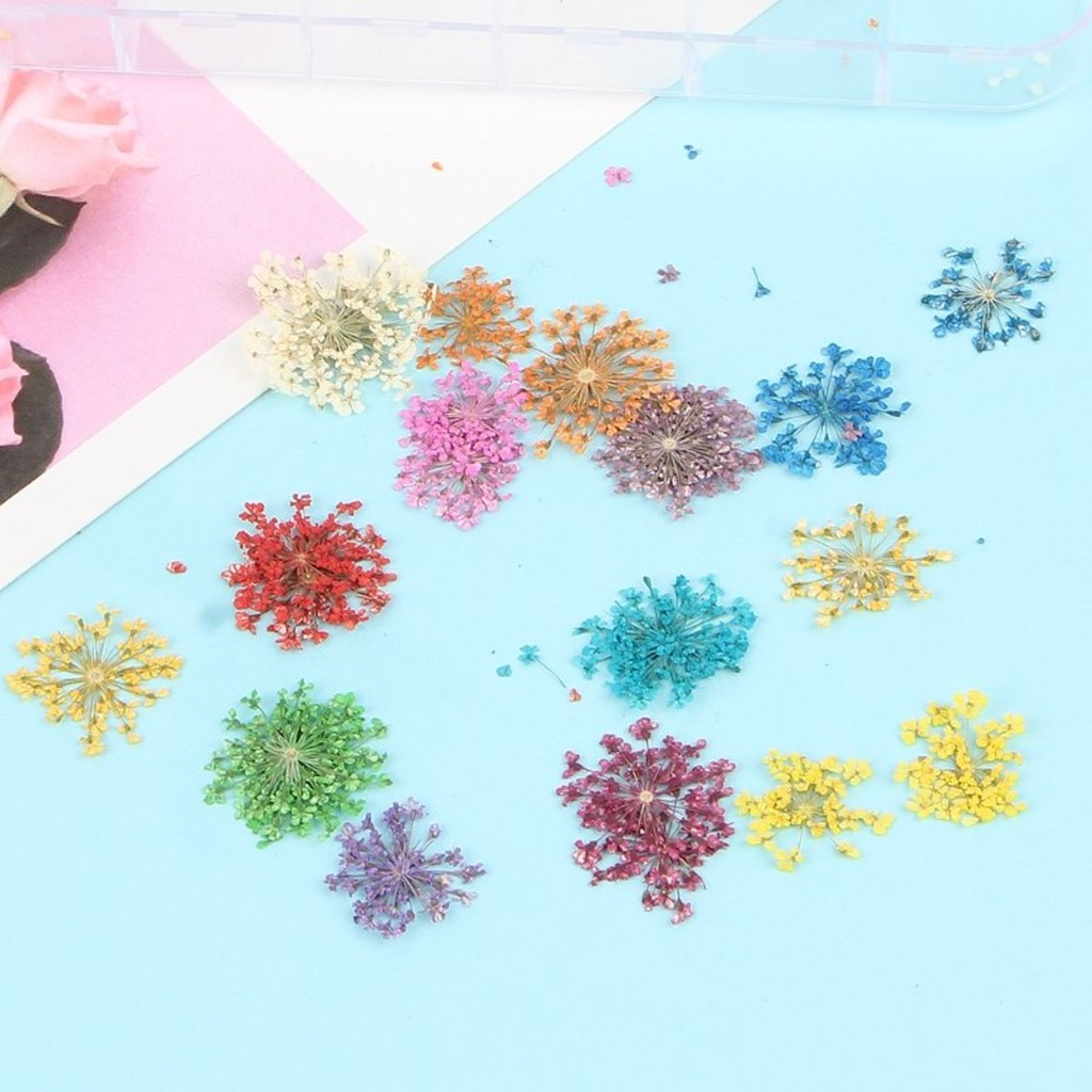 Hộp 12 hoa trang trí nhiều màu trang trí móng tay nghệ thuật HS01 - Nail Store