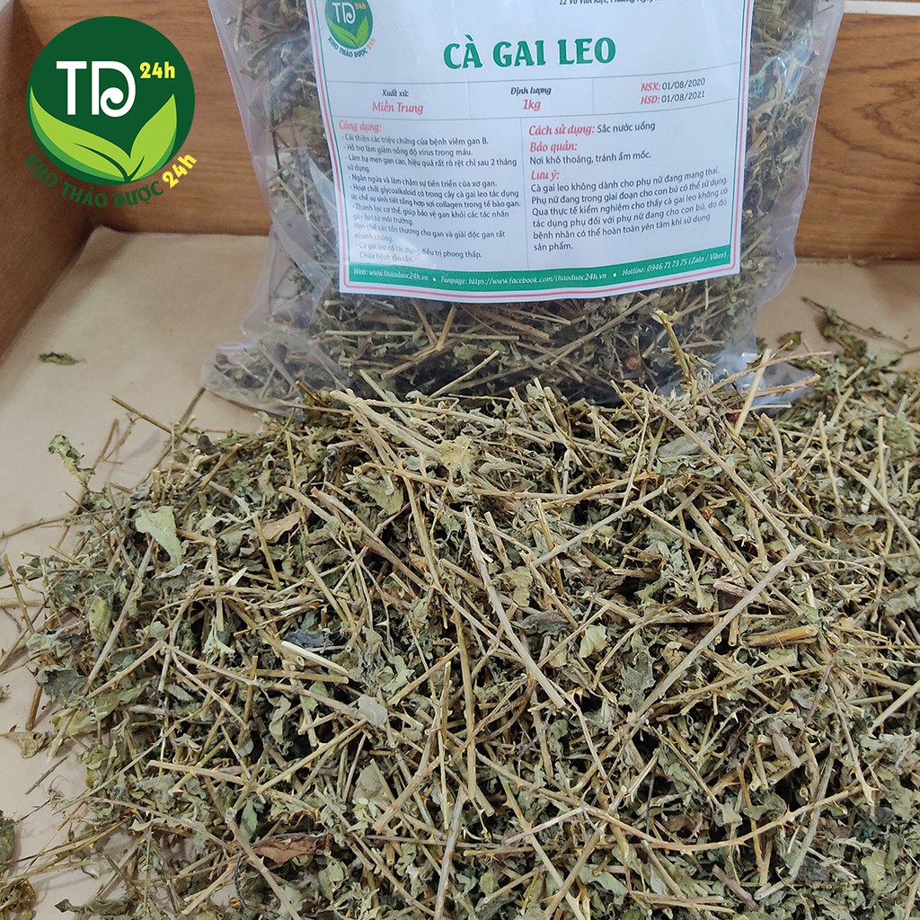 Cà gai leo, giải độc, hạ men gan, làm mát gan, bảo vệ lá gan cho gia đình, thảo dược sạch I Kho Thảo Dược 24h