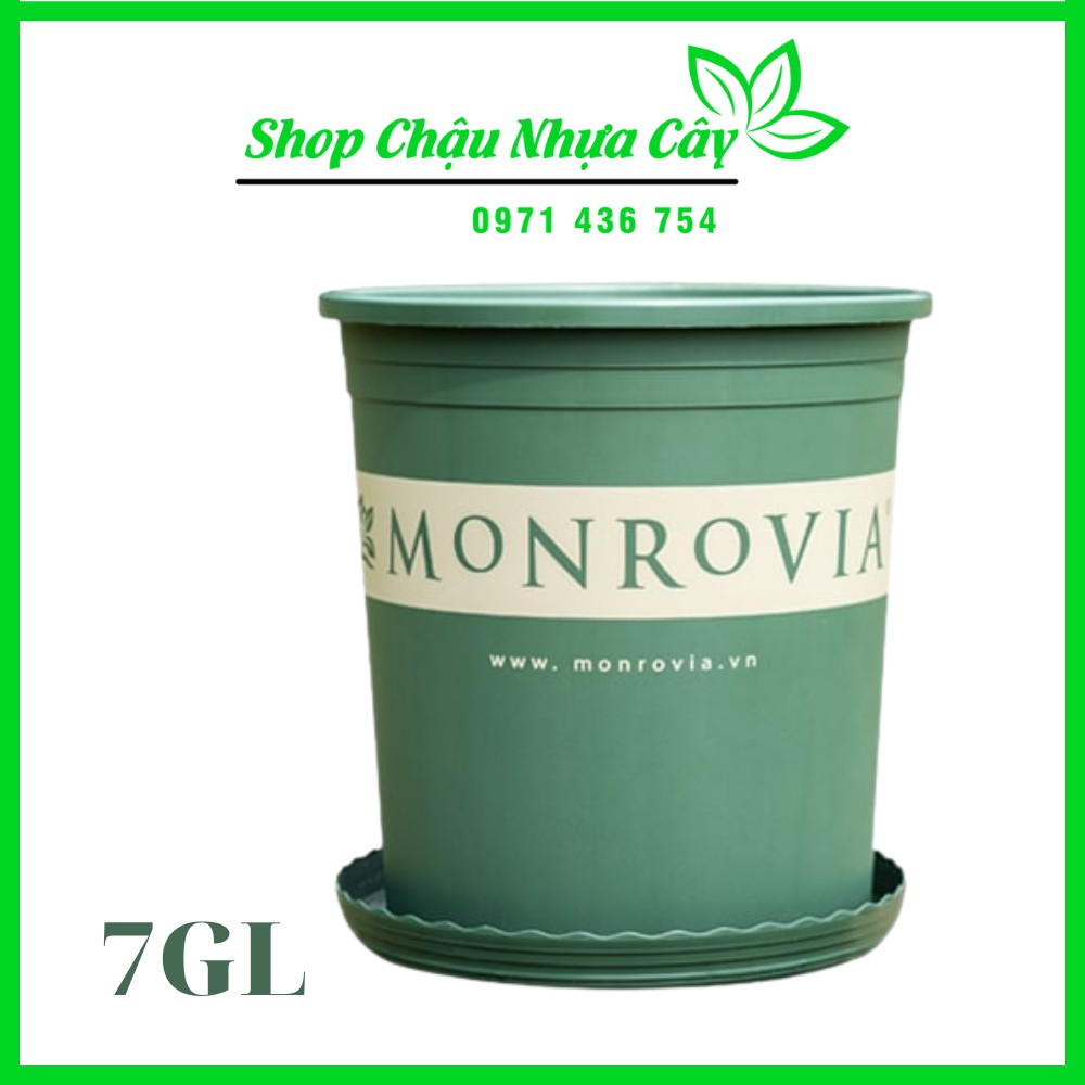 Chậu Nhựa Monrovia Nhập Khẩu Kèm Đĩa 7GL