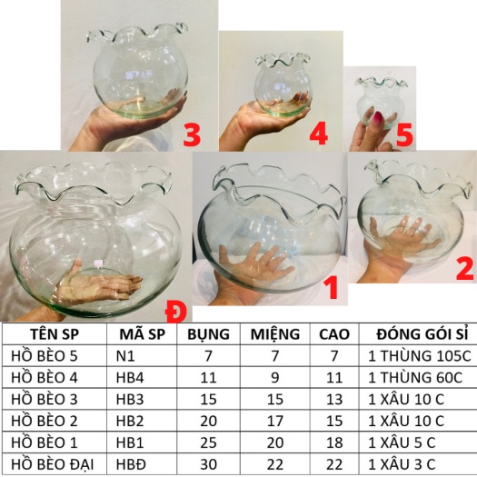 Hồ Cá Thủy Tinh, Bể Cá Thủy Tinh Miệng Bèo - Trang Nhã, Tinh Tế, Thích Hợp Trang Trí Ko Gian Nhỏ