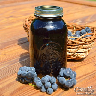 Hương vị Nho - Wild Grape - Organic (Mỹ) - Dùng Cho Son và Thực Phẩm thumbnail