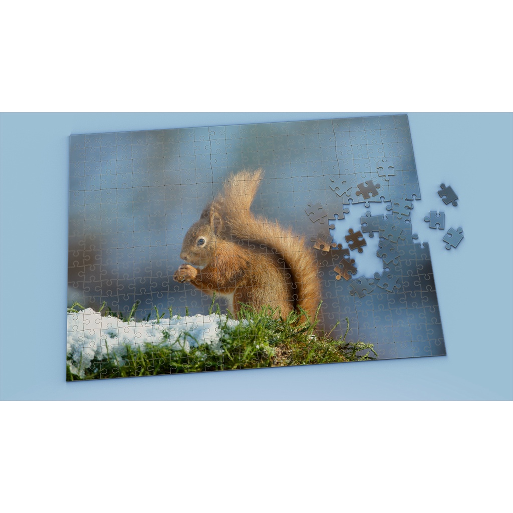 Tranh ghép hình SQUIRREL - Mẫu 4 - Nhận in theo yêu cầu