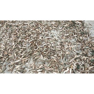 0.5kg Cây An Xoa Rừng