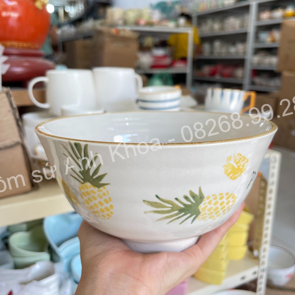 Sét Chén Dĩa Dễ Thương Đĩa Sứ Sét Bát Đĩa Decor, Bát Ăn Cơm Chén Sứ Họa Tiết Quả Dứa xinh yêu.