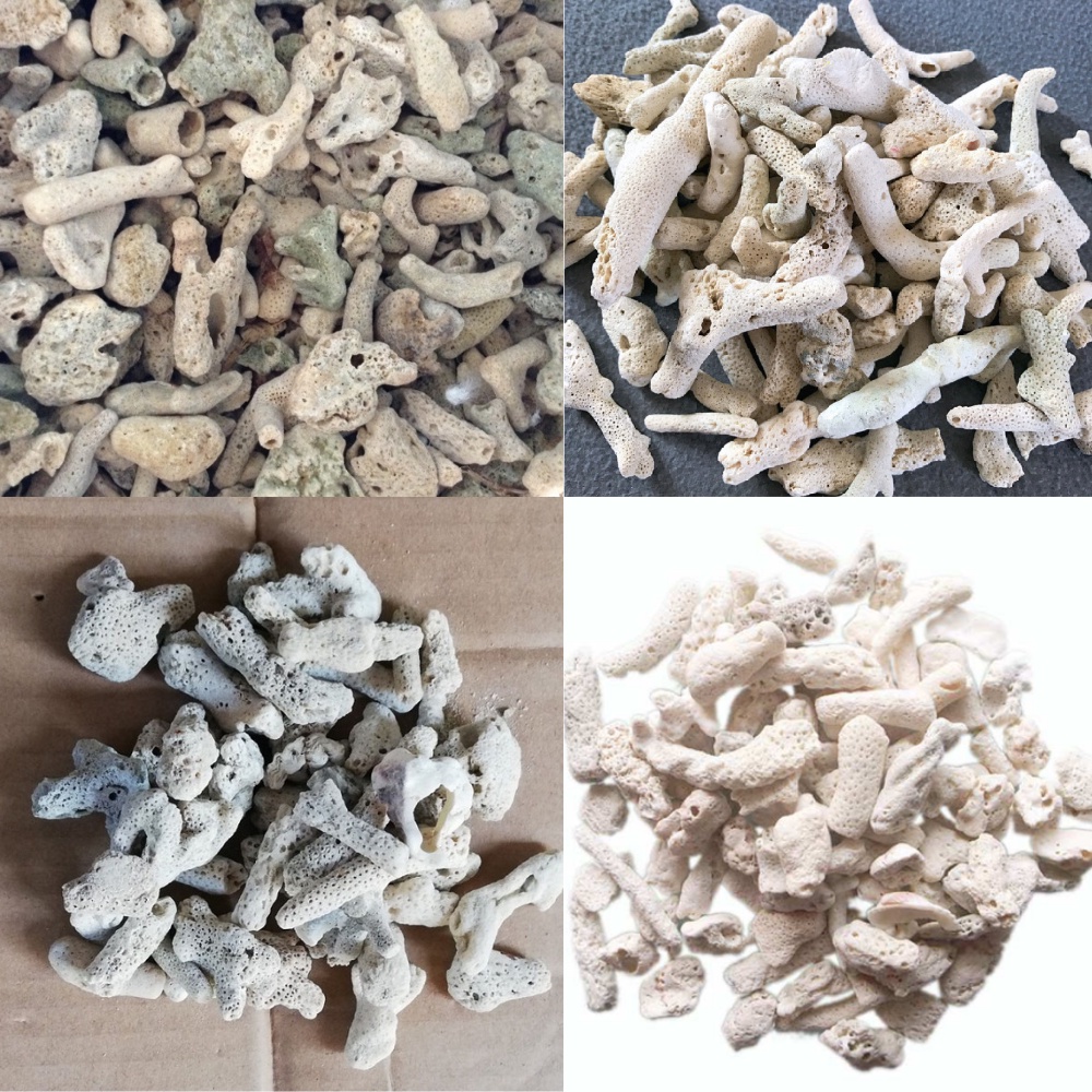 Vật liệu lọc hồ cá san hô vụn 200g