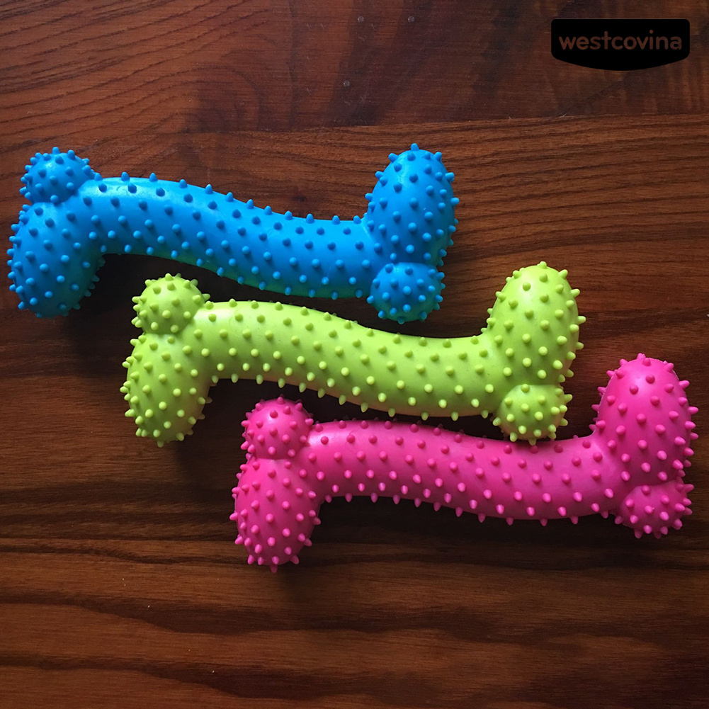 Đồ Chơi Gặm Hình Khúc Xương Bằng Tpr Cho Thú Cưng