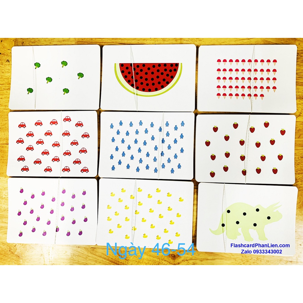 Flashcard thẻ dotcard SHICHIDA chuẩn 63 ngày - 663 thẻ