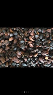 Mắc Khén Sapa 100g Hạt Dổi 50g