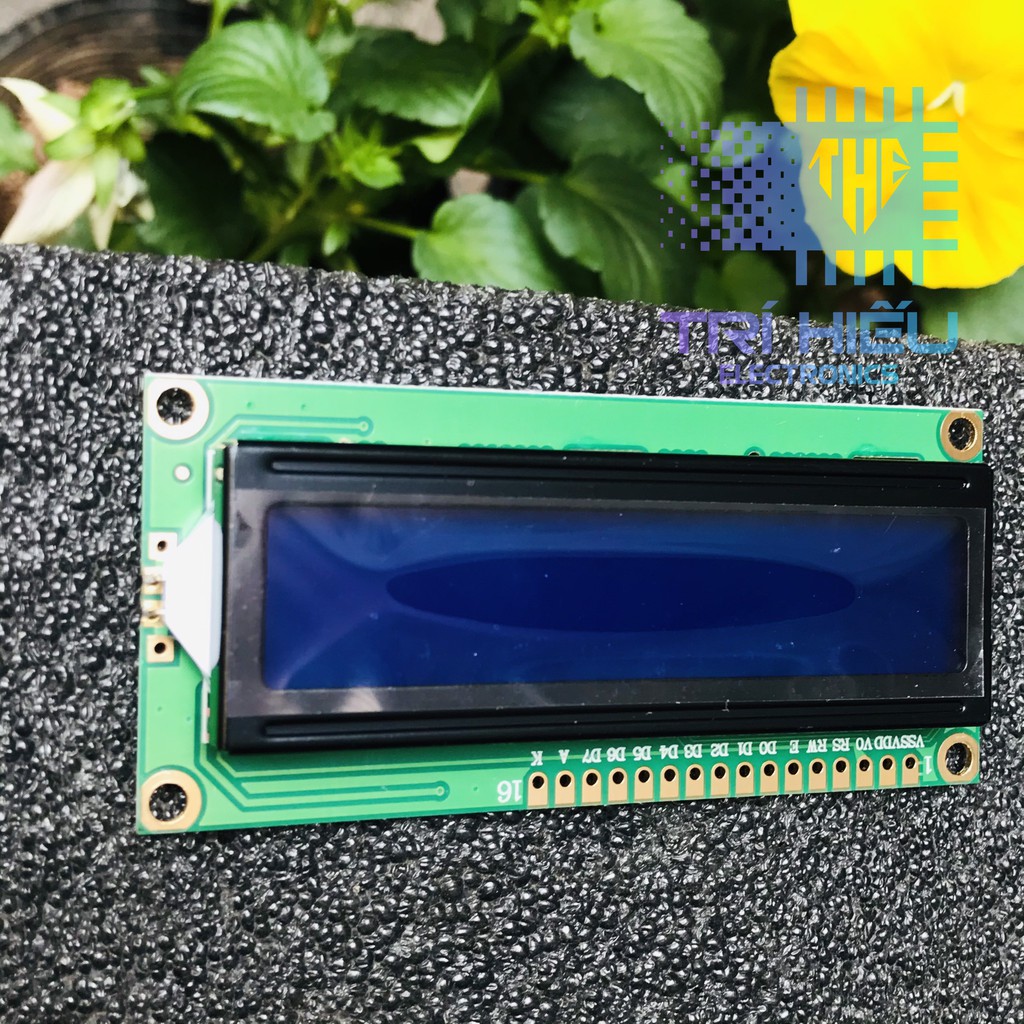 Màn Hình LCD 1602 nền xanh chữ trắng | BigBuy360 - bigbuy360.vn