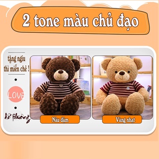 Gấu Bông Teddy