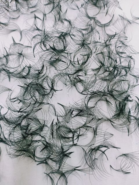 Mi fan 6d - hộp 1000 fan