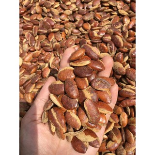  1KG Hạt Konia rang sẵn loại ngon 