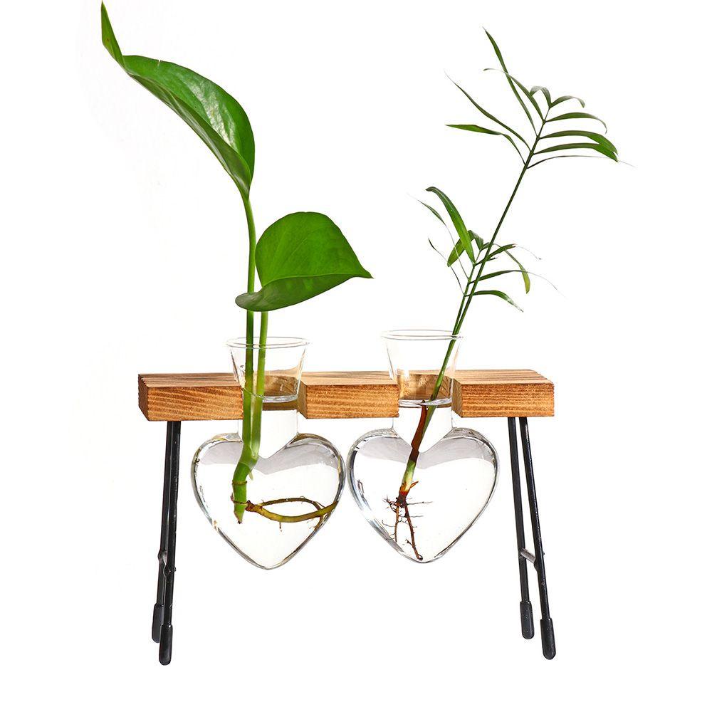Chậu Cây Thủy Canh Khung Gỗ Sáng Tạo Trang Trí Nhà Cửa