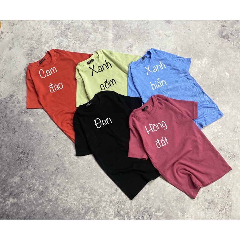 Áo thun Body (Tay ngắn). | BigBuy360 - bigbuy360.vn