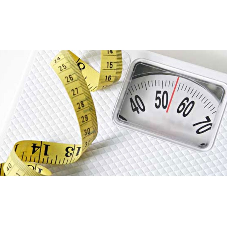 chia uc 1kg bich tim loai 1 date 12 2023 | BigBuy360 - bigbuy360.vn