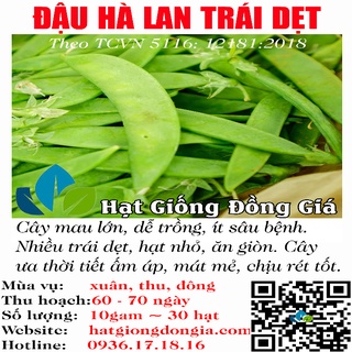 10gram hạt giống đậu hà lan quả dẹt