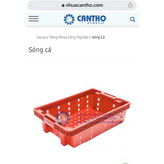 sóng cá- kết cá