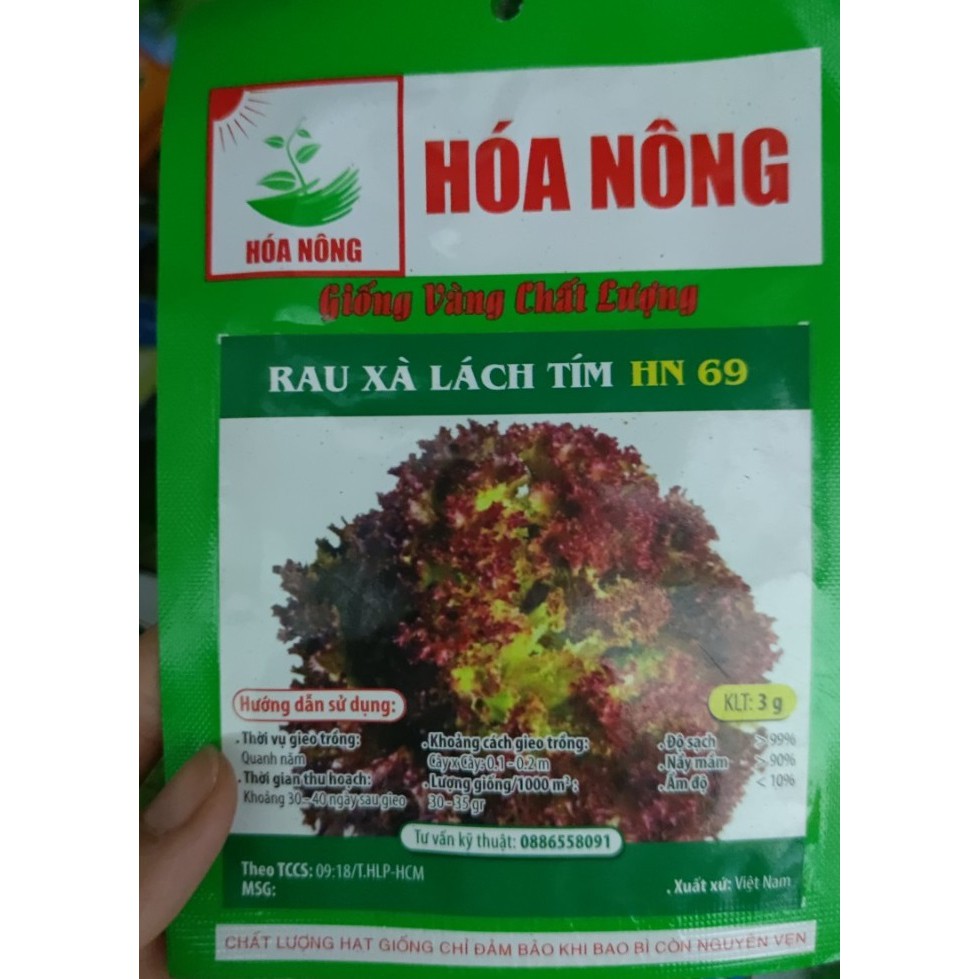 Hạt giống Xà lách xoăn xanh/ tím cao sản 3gr/ gói