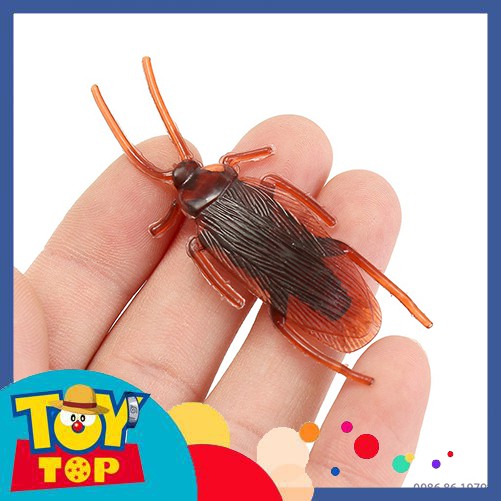 Mô hình cao su gián giả dùng trang trí hù dọa, prank