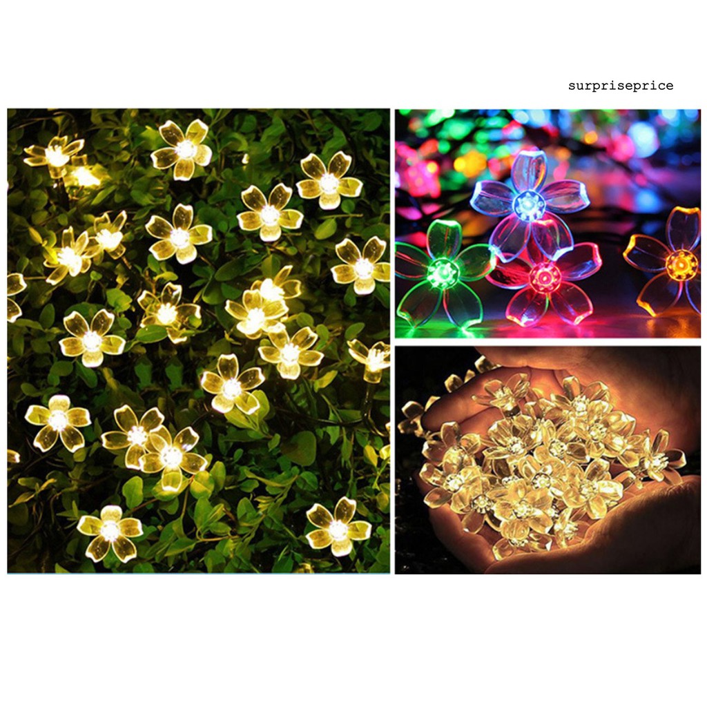 Dây Đèn Led 3m / 5m Hình Hoa Anh Đào Trang Trí Giáng Sinh