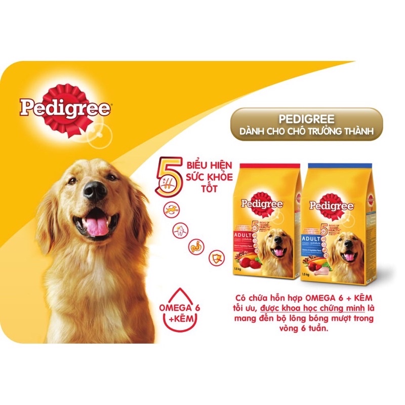 PEDIGREE- THỨC ĂN GIÀNH CHO CHÓ TRƯỞNG THÀNH GÓI 1,5kg