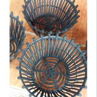 Chậu trồng lan 20cm x10cm có lan phụ đỡ giá thể trồng cây