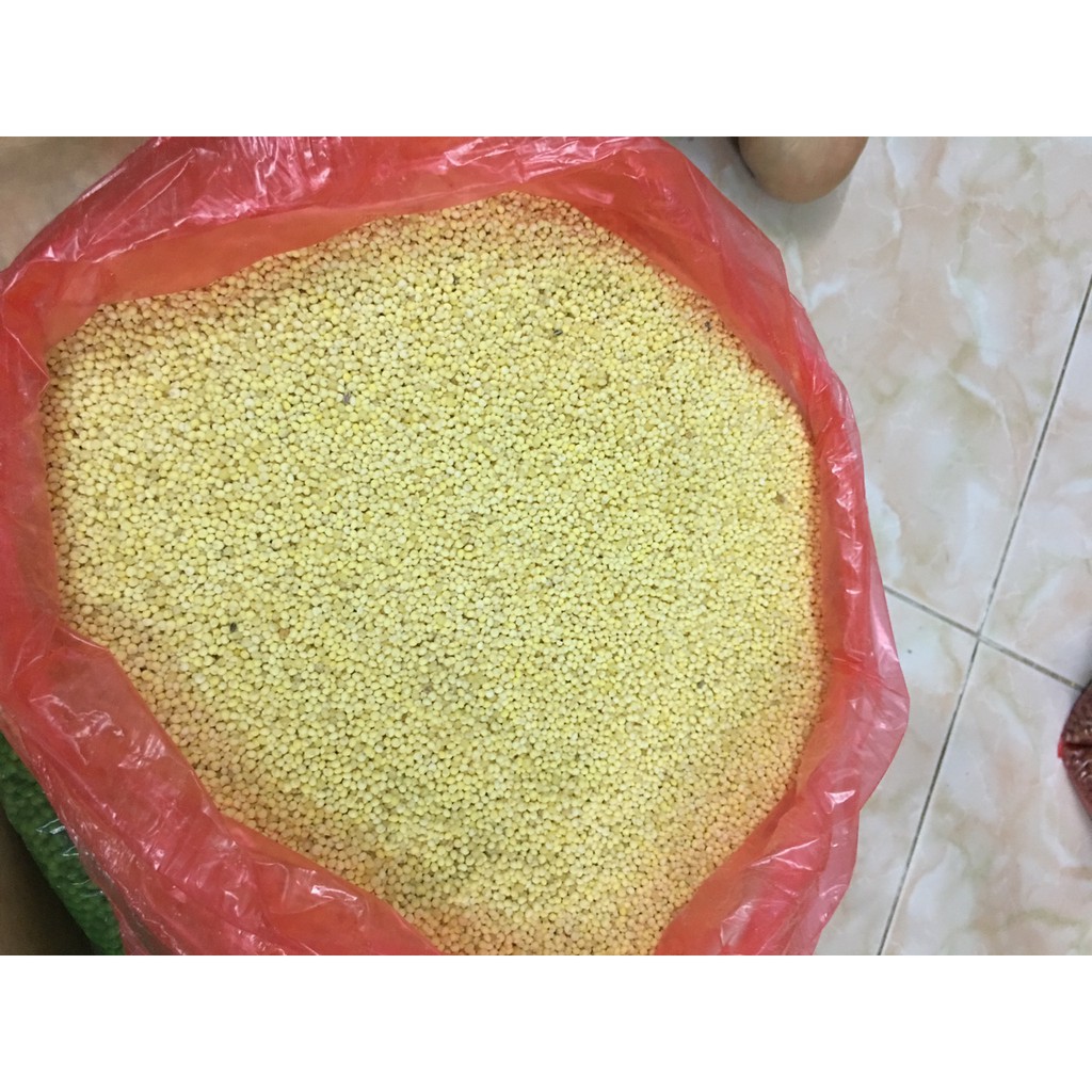 Kê nếp vàng ngon loại 1 : Thơm, dẻo gói 200-500g Hút chân không