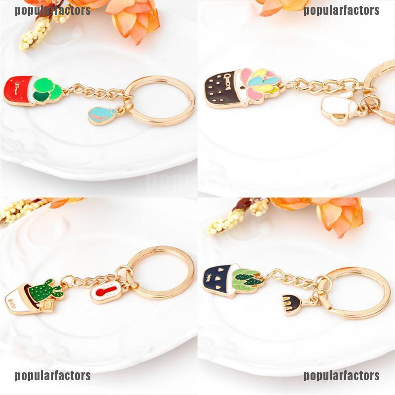 Cây Xương Rồng Tráng Men Sáng Tạo