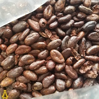 Cacao nguyên chất DakLak 500gr