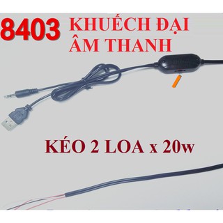 Bộ khuếch đại âm thanh mini